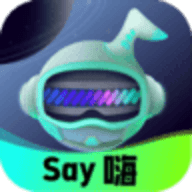 Say嗨元宇宙