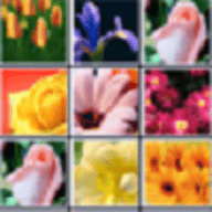 花花连连看 1.0 安卓版