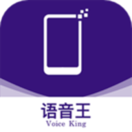 语音王