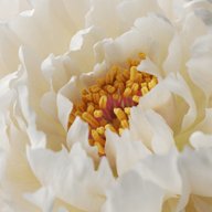 能量魔方壁纸  安卓版