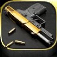 枪械爱好者国际服