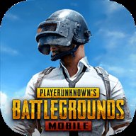 pubg测试服 3.3.4 安卓版