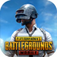 pubg国际服体验服 3.0.4 安卓版