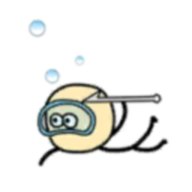 阿库阿国王中文版