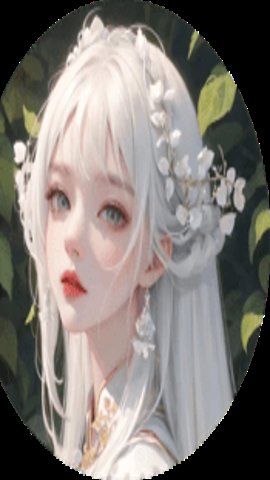 白鸟全物品安装包