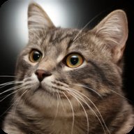 说话的现实猫 1.33 