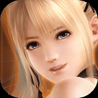 生死格斗5无限单机版