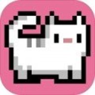 猫咪弹射CatAPult