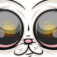 里德的第五元素