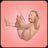 人类进化史汉化版