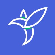 半夏元 2.2.4 官方版