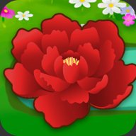 锦上添花红包版