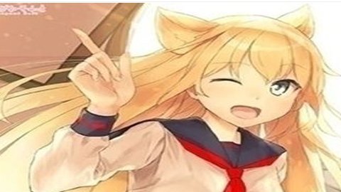 与狐狸的日常 1.0 最新版