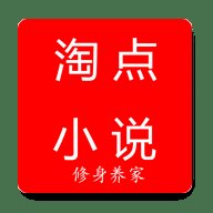 淘点小说