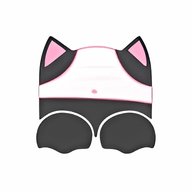 胖次猫
