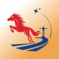 中物智能新华冶金