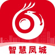智慧凤城