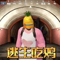 菠萝头吃鸡 1.0.0 最新版