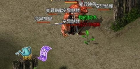 王者传奇苍月种植介绍 王者传奇苍月种植介绍