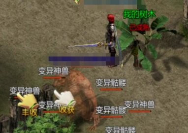 王者传奇苍月种植介绍 王者传奇苍月种植介绍