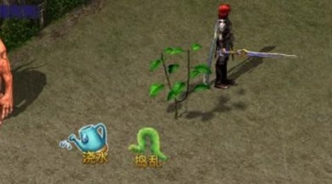 王者传奇苍月种植介绍 王者传奇苍月种植介绍