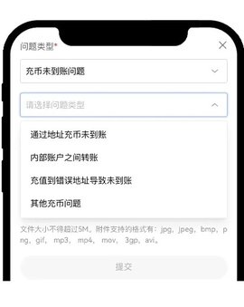 充币未到账怎么办2 充币未到账怎么办2