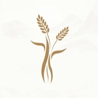 米禾阅读 1.5.4 官方版