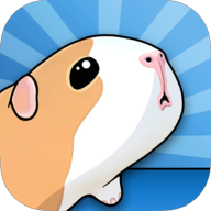 豚鼠桥 9.2.4 安卓版