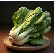 老谭酸菜 2.5.8 安卓版