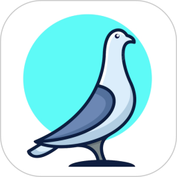鸽手 3.8.4 安卓版