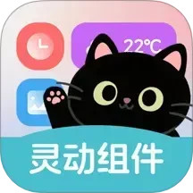 灵动皮肤小组件 1.1.6 安卓版