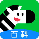 斑马百科电视版 v1.0.1 安卓版