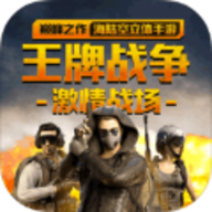 王牌战争辅助器