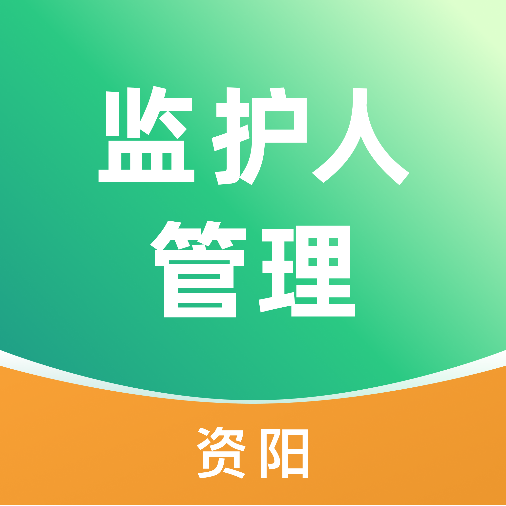 资阳数智监护人管理