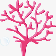 珊瑚壁纸 1.1 安卓版