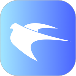 飞鸟加速器 1.4 安卓版