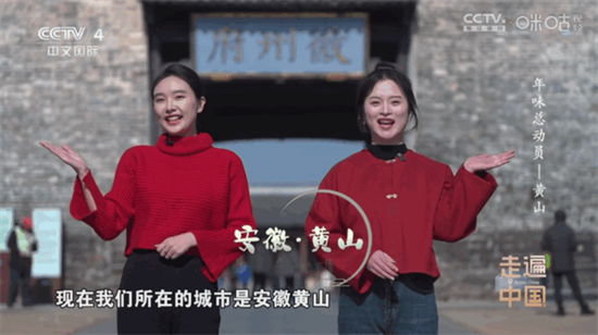 悠悠电视app下载最新版2025