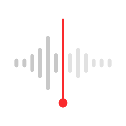 荣耀录音机 16.10.4.315 安卓版