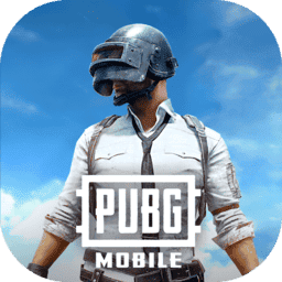 pubg国际服 4.2.0 安卓版