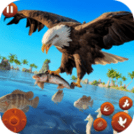 野生鸟类生活模拟器