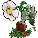植物大战僵尸转基因版