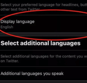 x官方正版安装包