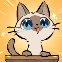 猫咖怪谈