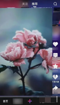 1767928078500705.png 1.png