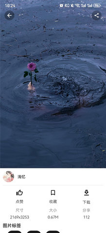 1769502561482358.jpg 2_270x480.jpg