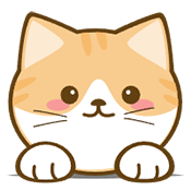 橘喵4K 2.3.2 安卓版