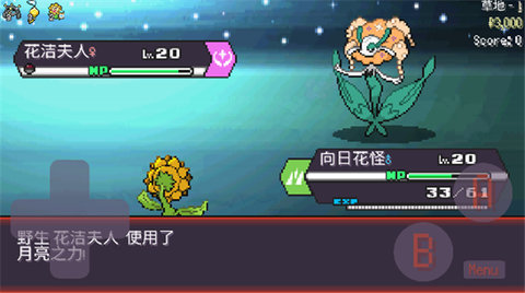 1770797662637304.jpg 2_480x270.jpg