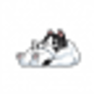 咸鱼视频 4.0.4 安卓版