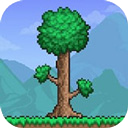 terraria国际服 1.4.5.6.4 安卓版