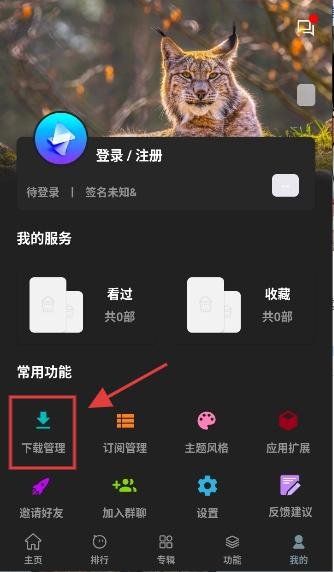 聚合影视-下载管理